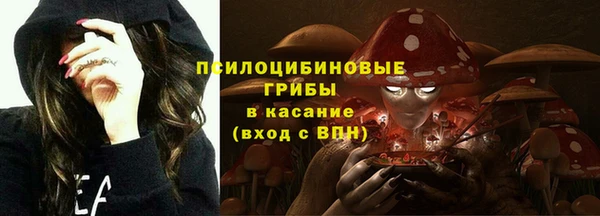 хмурый Михайлов