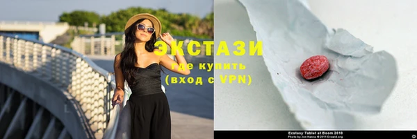 прущие грибы Богданович