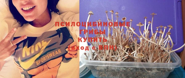 стафф Медвежьегорск