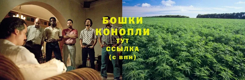 МАРИХУАНА THC 21%  Лесозаводск 